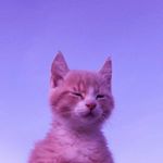 Profile Picture of Janet Castañeda uwu (@bili_biersack) on Instagram