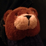 Profile Picture of Thomas Bauer (@thomasbauer1) on Flickr