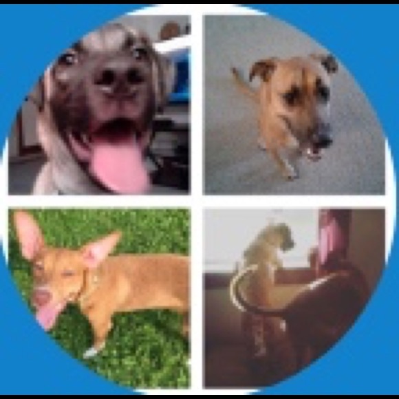 Profile Picture of Annetta Moore (@aaronmoore8179) on Poshmark