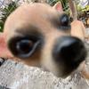 Profile Picture of joefincham 🕉 (@@jftikkytokky2) on Tiktok
