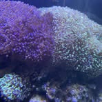 Profile Picture of Yufeng Zhang (@Yufeng-Zhang) on Facebook