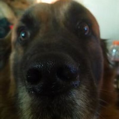 Profile Picture of Nick Weiser (@@nick_weiser) on Twitter