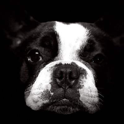 Profile Picture of Lucas Hebert (@LucasHe68782648) on Twitter