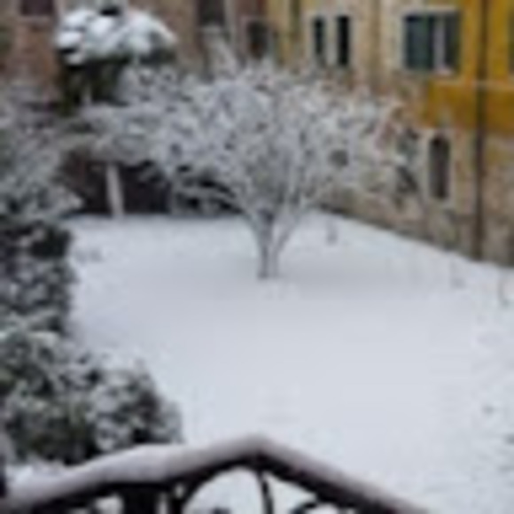 Profile Picture of Christopher Auricchio (@christophera684) on Poshmark