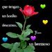 Profile Picture of Rosio Gonzales Apaez (@gonzalesapaez) on Pinterest