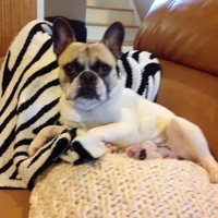 Profile Picture of Luca Toscano (@luca-toscano-2) on Quora