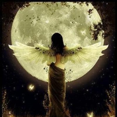 Profile Picture of 🍥🌜Lisa🌛🍥 (@lisalock17) on Twitter
