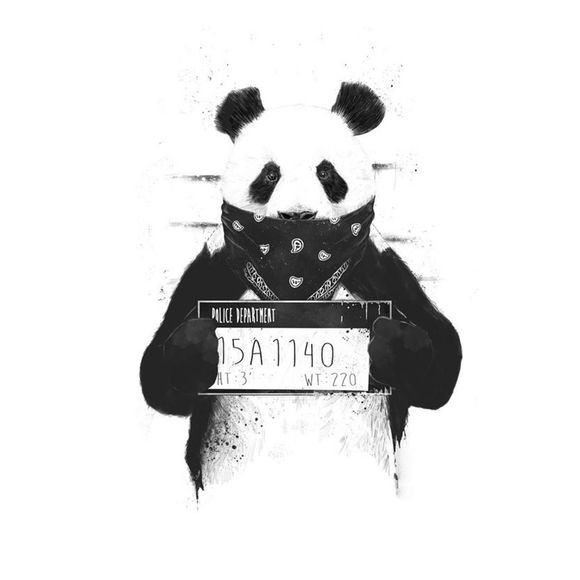 Profile Picture of Jayden Jayden (@jayden1738omg) on Poshmark