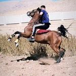 Profile Picture of امیر رستاک (@amirrastak25) on Instagram