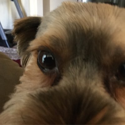 Profile Picture of Anne Majewski (@Godmother33Anne) on Twitter