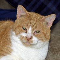 Profile Picture of Signe Lawson-jones (@signe-lawson-jones) on Quora