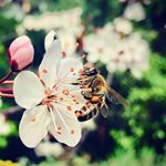 Profile Picture of Julia Leahy (@julia_leahy) on Instagram