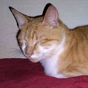 Profile Picture of Rochi (@Rochii4132) on Youtube