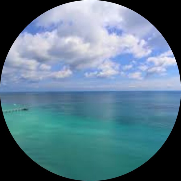 Profile Picture of Ha Dinh (@dinhhahungyen) on Poshmark