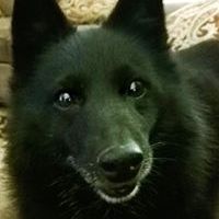 Profile Picture of Michael Brajdic (@brajdicm) on Pinterest