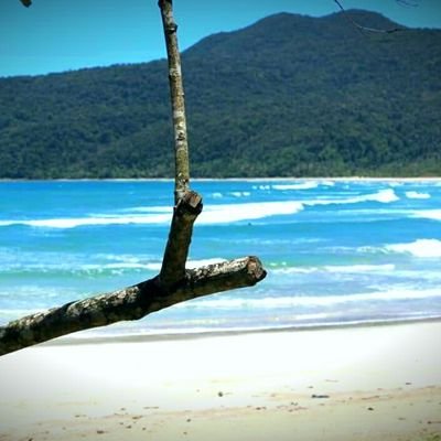 Profile Picture of Mark Nicolai San Pedro (@MarkNicolaiSan1) on Twitter