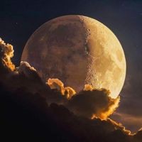 Profile Picture of Lisa Mccue (@lisa-mccue-13) on Quora