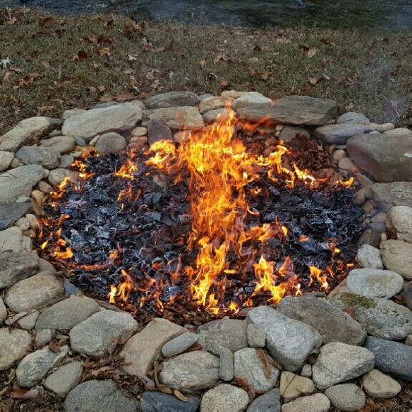 Profile Picture of Dellene Holzschuh (@dellenekj) on Poshmark