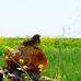 Profile Picture of مارك وايت (@مارك-وايت) on Facebook