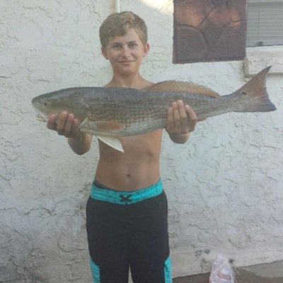 Profile Picture of Bryce Preston (@Skatefordays1) on Twitter