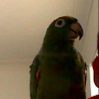 Profile Picture of Benjamin Berlyne (@arnoldcarltonve) on Pinterest