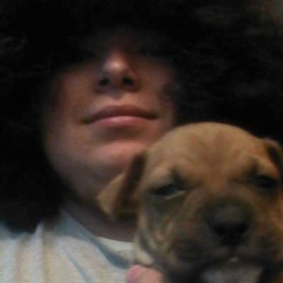 Profile Picture of Jason Marmolejo Jr (@Bluemagoo52) on Twitter