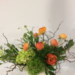 Profile Picture of Kim Earley (@kim.earley) on Instagram