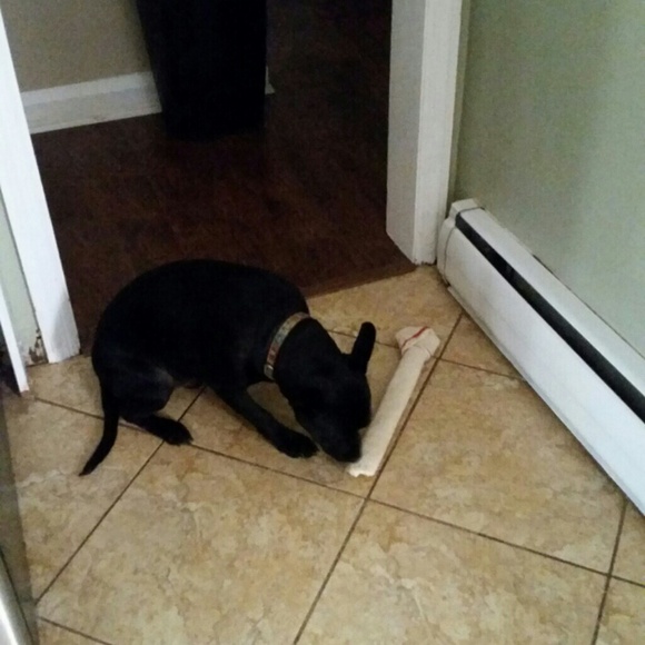 Profile Picture of Alyssa Hodgson (@hodgson416) on Poshmark