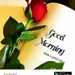 Profile Picture of Rajiv prasad (@rajivprasad572) on Instagram