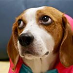 Profile Picture of Johnson Liu (@johnson.liu.33865854) on Instagram