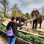 Profile Picture of thomas.loe (@thomas.loe) on Instagram