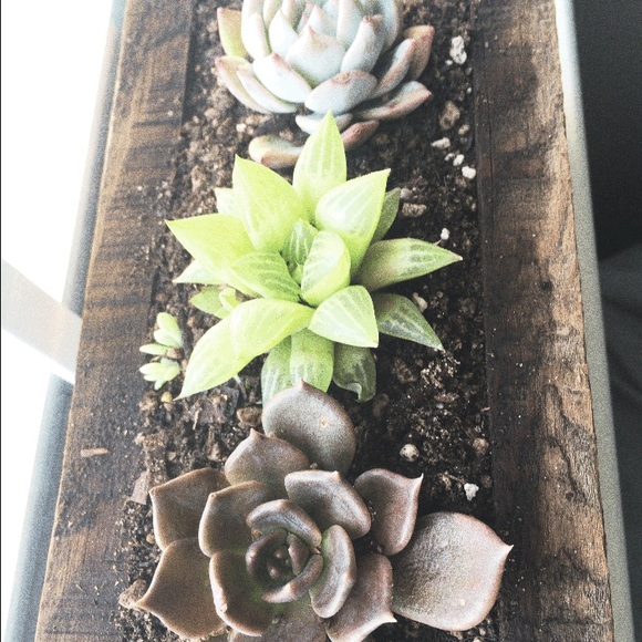 Profile Picture of Macy Minore (@macyminore) on Poshmark