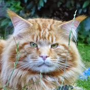 Profile Picture of Rianna Vande Vusse (@riannavandevusse4188) on Youtube