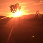 Profile Picture of leoni.crosby (@leoni.crosby) on Instagram