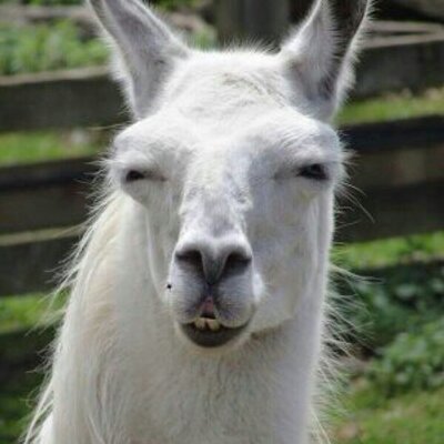 Profile Picture of Marcotex99 (@MarcCrespo2) on Twitter