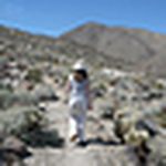 Profile Picture of Leen Van Ginckel (@leenvg) on Flickr