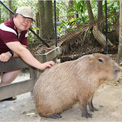 Profile Picture of Yang Ding (@YangDingMr) on Youtube