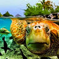 Profile Picture of Adam Butner (@adam-butner) on Quora