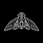 Profile Picture of Il Comizio di Cicale (@ilcomiziodicicale) on Instagram