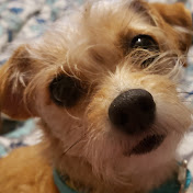 Profile Picture of Nicholas Alonzo (@nicholasalonzo3499) on Youtube