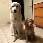 Profile Picture of Zona and Gilbert McWilliams (@zonaandgilbert) on Instagram