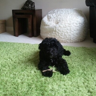 Profile Picture of Neil Bishop (@neilbishop34_h) on Twitter