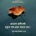 Profile Picture of Ikram huq (@drikramhuq) on Pinterest