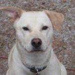 Profile Picture of Paul Notine (@pnotine) on Instagram