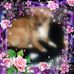 Profile Picture of Doris Hoo (@doris.hoo.507) on Facebook