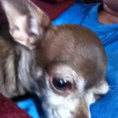Profile Picture of Neal Caudill (@caudillr) on Twitter