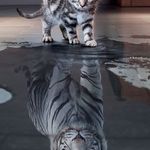 Profile Picture of John Lising (@john.lising) on Instagram