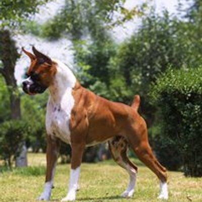 Profile Picture of Bryan Trejo (@Gasper_m_d_t) on Twitter