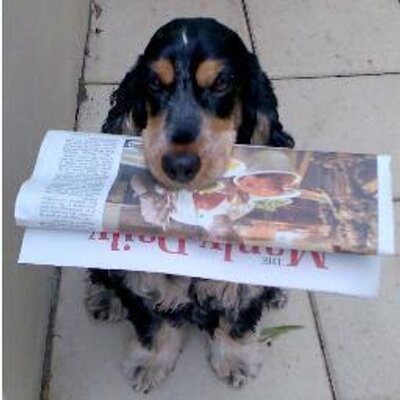 Profile Picture of David Flatman (@Newshound110) on Twitter