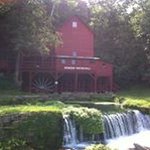 Profile Picture of Haley Scheer (@haleyscheer) on Instagram